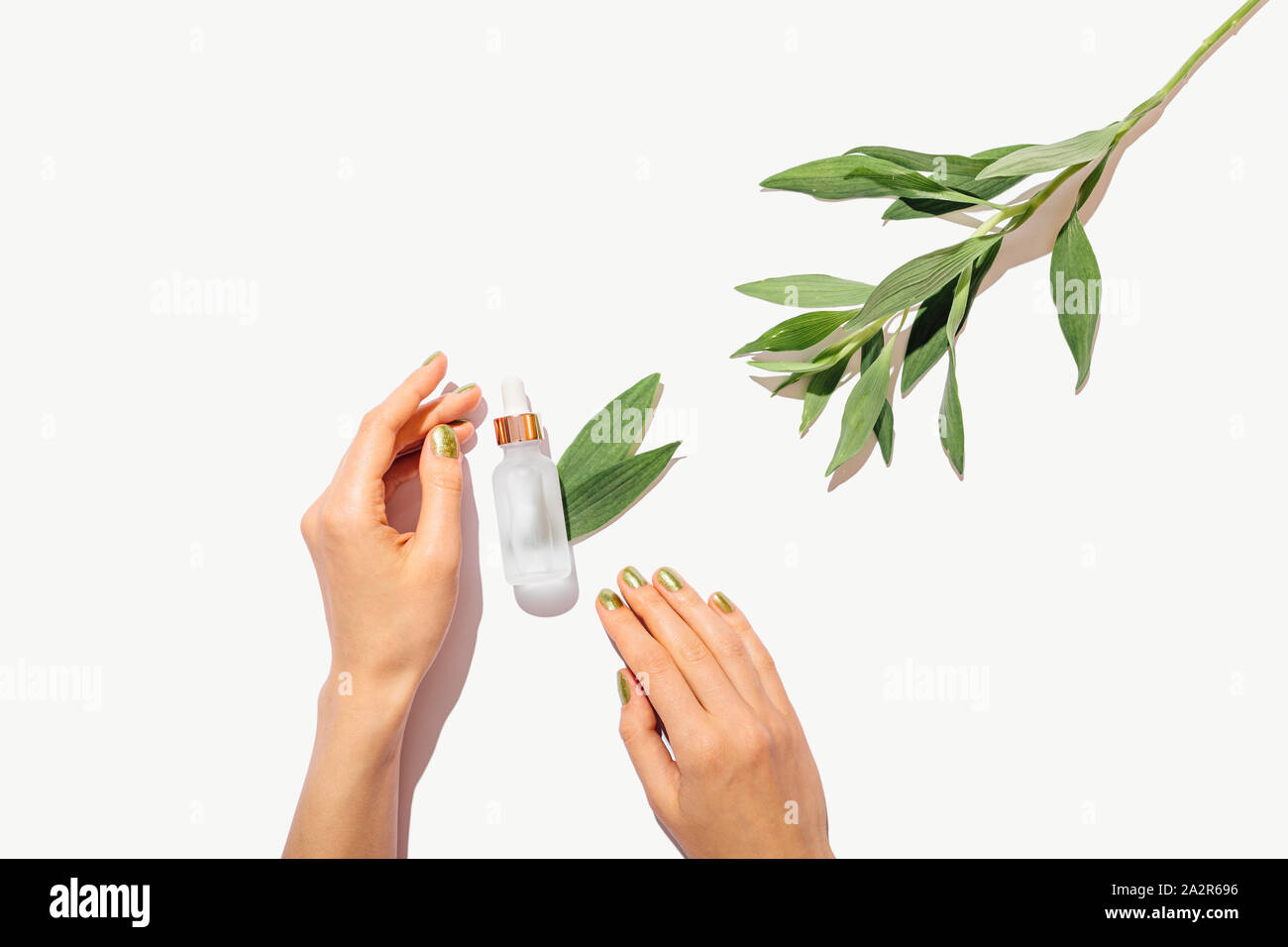 Flasche kosmetische Öl neben weiblichen Händen grüne Maniküre und frische Blätter auf weißem Hintergrund mit Kopie Raum, flach Komposition. Stockfoto