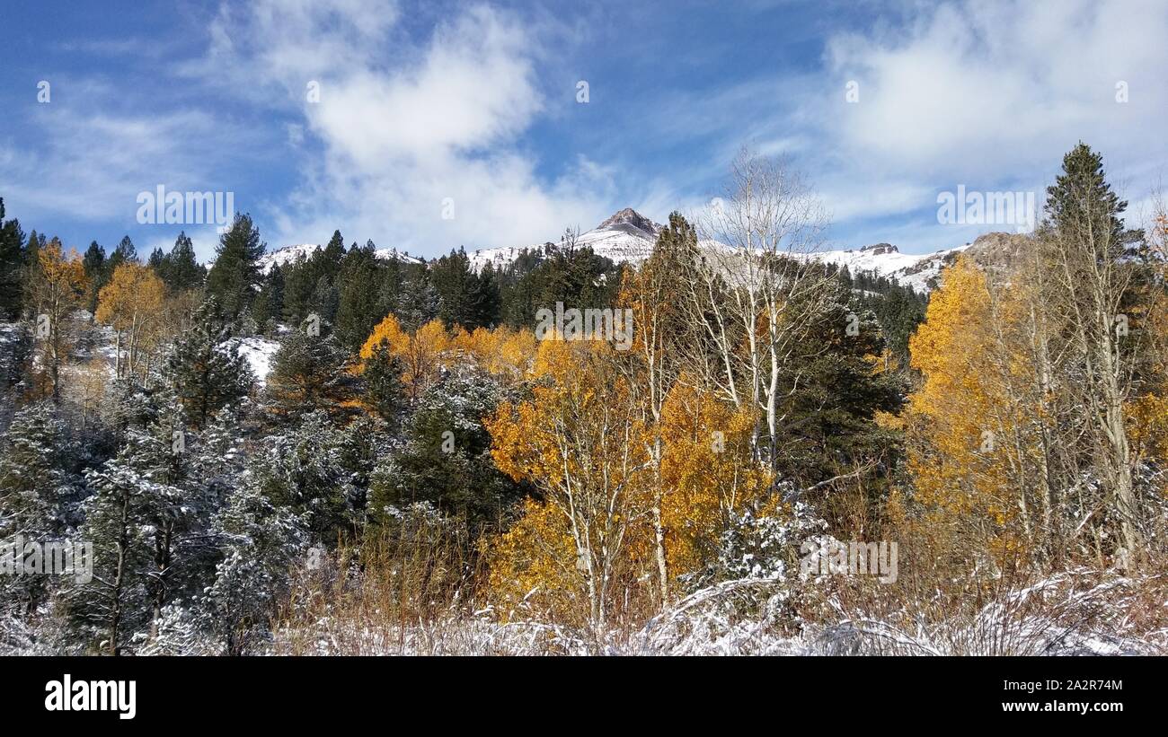 Die Berge der Sierra Nevada im Herbst, Kalifornien Stockfoto
