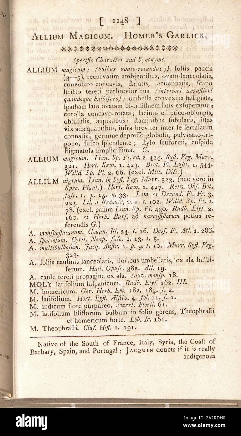 Magische Knoblauch, Beschreibung der Anlage Allium Magicum, S. 1148, Curtis, William, 1809, William Curtis: Der botanical Magazine; oder, Blumengarten angezeigt:, in der die meisten Zierpflanzen ausländische Pflanzen, in den offenen Boden kultiviert, das Grüne Haus und Herd, genau in ihren natürlichen Farben dargestellt werden. Bd. 1, Bl. 29. London: Gedruckt von Fry und Couchman [...] für W. Curtis [...], 1809 Stockfoto