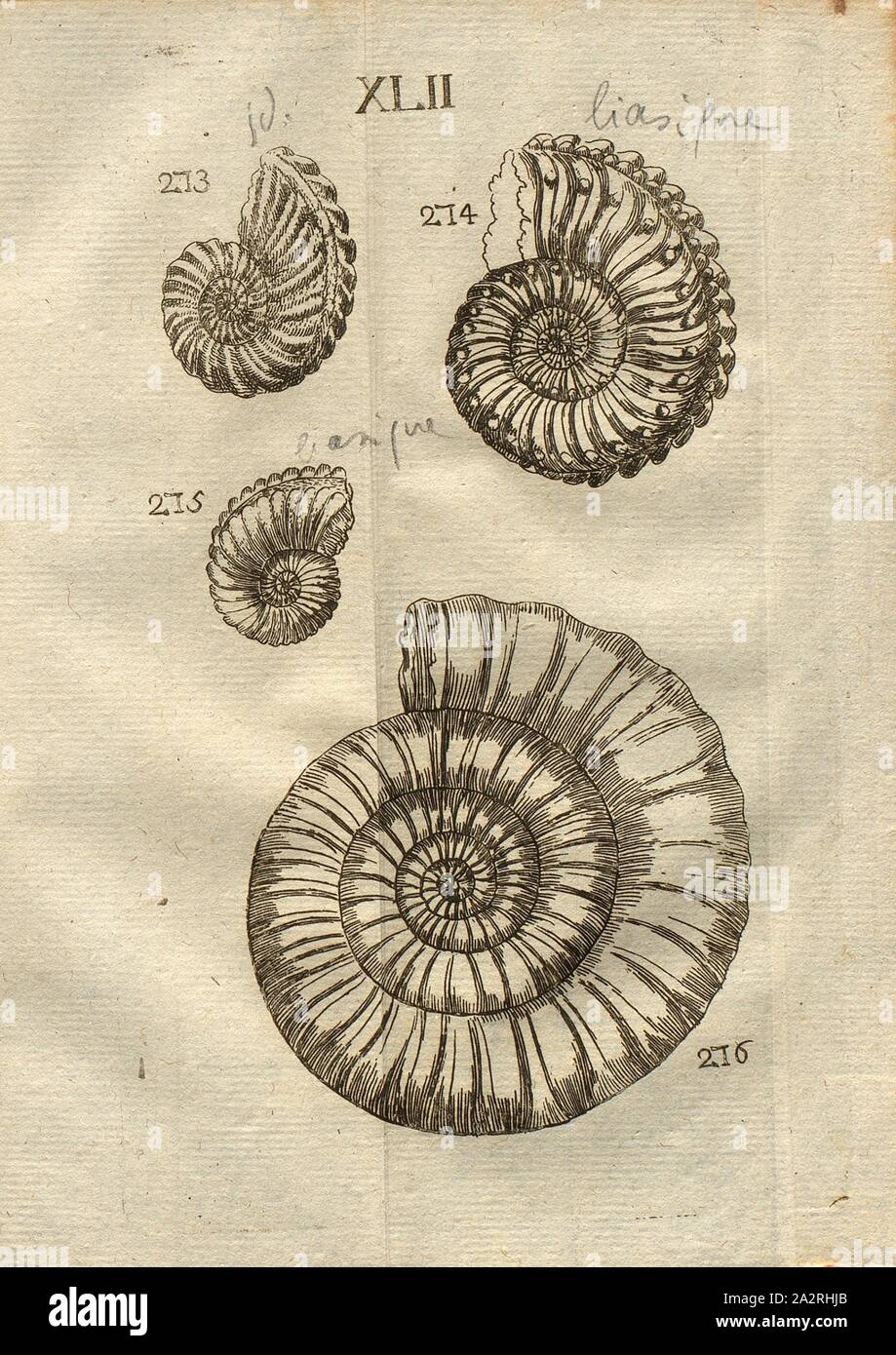 Se 274 Stockfotos Und Bilder Kaufen Alamy