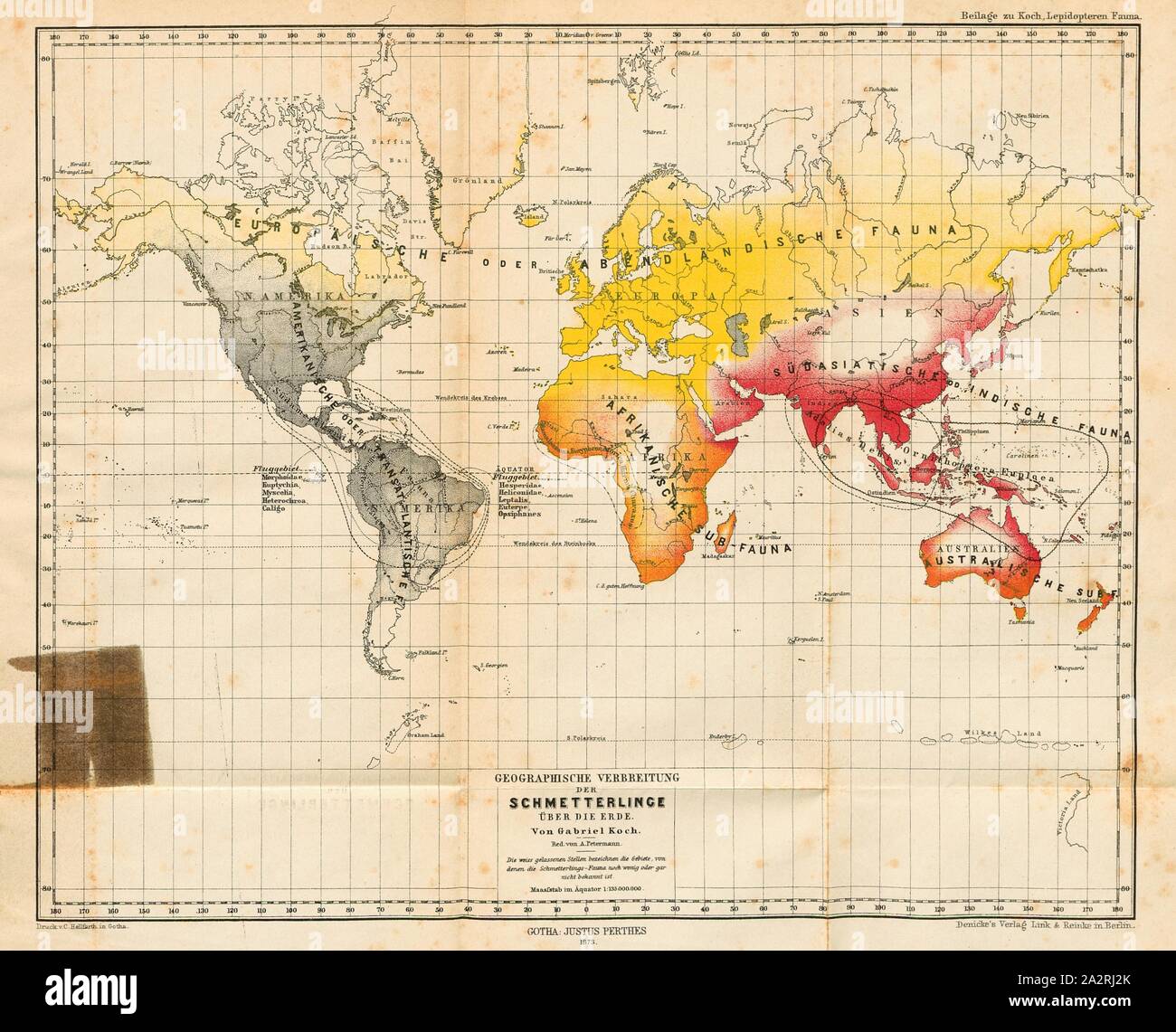 Geographische Verteilung der Schmetterlinge über die Erde, den Vertrieb Karte von Schmetterlingsarten, unterzeichnet: Druck v., C.; Denicke Hellfarth's Verlag Link & Reinke in Berlin, Abb. 1, S. 119, Koch, Gabriel (FEC); Petermann, August (red.); Hellfarth, Carl (Imp.); Denicke's Verlag Link & Reinke (Hrsg.), 1873, Gabriel Koch: indo-australische Lepidopteren-Fauna in ihrem Zusammenhang mit den drei Hauptfaunen der Erde nebst Abhandlung über die Entstehung der Farben in der Puppe. Berlin: denicke's Verlag Link & Reinke, 1873. Eingangsdatum 2017 Stockfoto