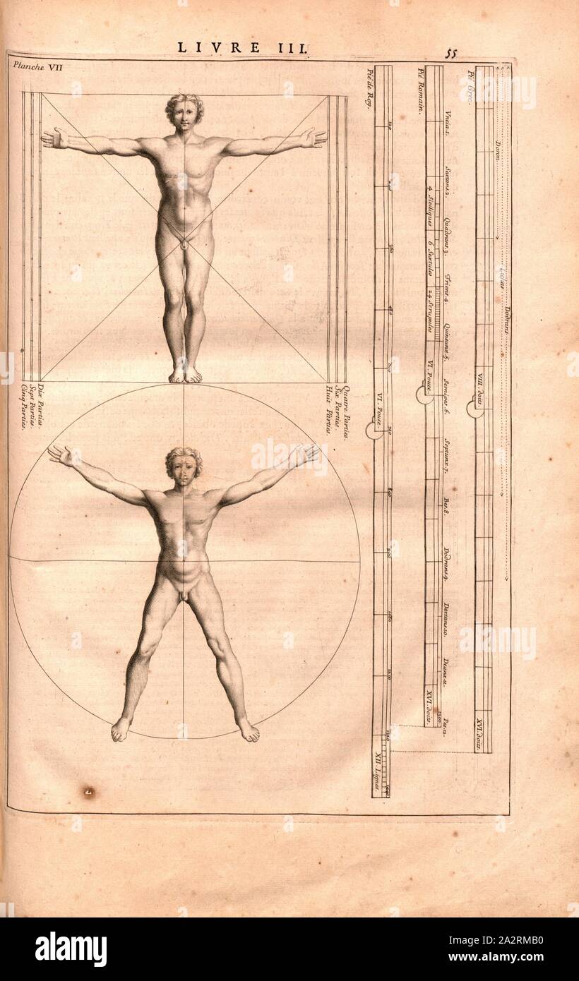 Proportionen des menschlichen Körpers, zwei Abbildungen zeigen die Proportionen des menschlichen Körpers, 17. Jahrhundert, PL. VII, S. 55, 1673, Vitruvius Pollio: Les dix Livres d'architecture de Vitruve: corrigez et nouvellement traduits en François, avec des Notes & des Zahlen. Le troisième livre. Ein Paris: Chez Jean Baptiste Coignard, [...], 1673 Stockfoto