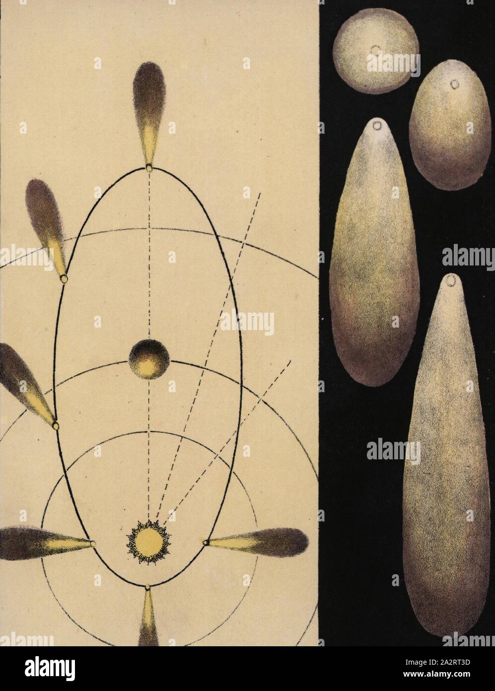 Kometare Bewegung, Bewegung, Comet, nein. LXXI, nach S.86, 1842, Charles F. Stumpf: Die Schönheit des Himmels: eine bildliche Darstellung der astronomischen Phänomenen des Universums. Einhundert und vier farbigen Szenen illustrieren eine vertraute Vortrag über Astronomie. London: Kippen und Bogue, 1842 Stockfoto