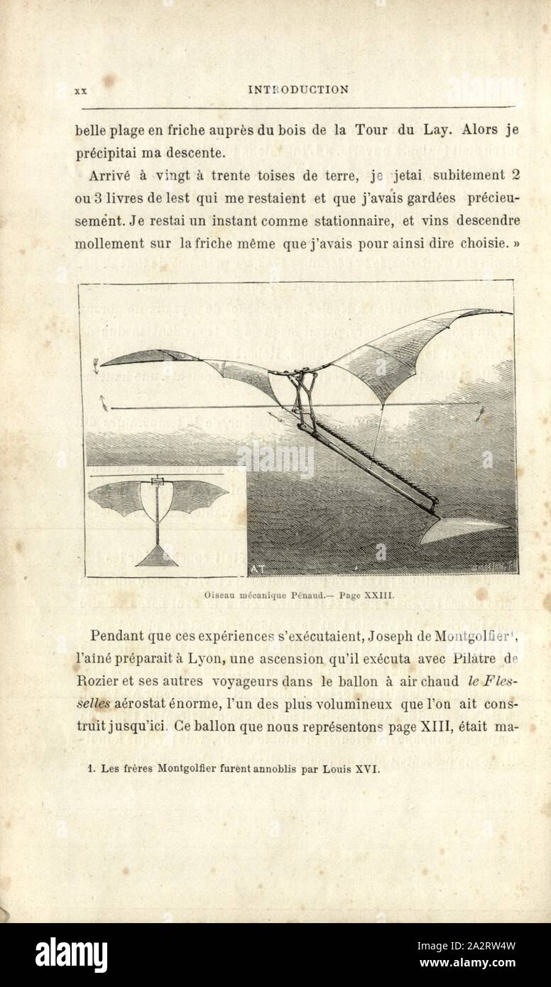 Mechanischer vogel Pénaud Modellflugzeug von Alphonse Pénaud (1850-1880), unterzeichnet: A. T, Abb. 5, s. XX, Tissandier, Albert (Del.), 1887, Gaston Tissandier: Histoire de mes Aufstiege. Récit de Quarante voyages Aériens (1868-1886). Paris: Maurice Dreyfous, 1887 Stockfoto