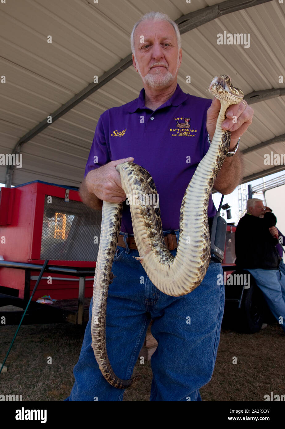 Klapperschlange Rodeo im Opp, Alabama Stockfoto