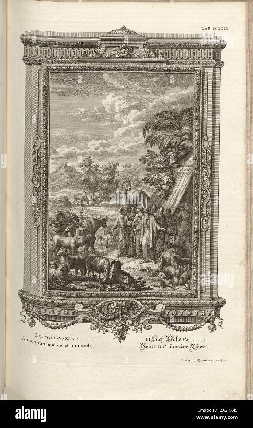 Reine und unreine, Parallel Titel: Reine und unreine Tiere, unterzeichnet: Catharina Sperlingen sculps, Kupferstich, Platte CCXXIX (Vol. 2), Füssli, Johann Melchior; Sperling, Catharina (sculps.), 1731, Johann Jakob Scheuchzer: Kupfer-Bibel (...). Augspurg und Ulm: gedruckt bey Christian Ulrich Wagner, 1731-1735 Stockfoto