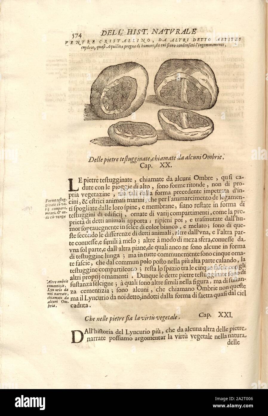 Schildkröte Steine, durch einige Ombrie, Mineralien, Bild aufgerufen. 2, S. 574, 1672, Ferrante Imperato: Historia Naturale di Ferrante Imperato Napolitano. Nella quale ordinatamente si tratta della Zustand diversa di minere, Pietre pretiose, & altre curiosità. Con varie Historie di Piante, & animali, Sünde "Hora nicht Datum in Luce [...]. Venetien: presso Combi & La Noù, 1672 Stockfoto