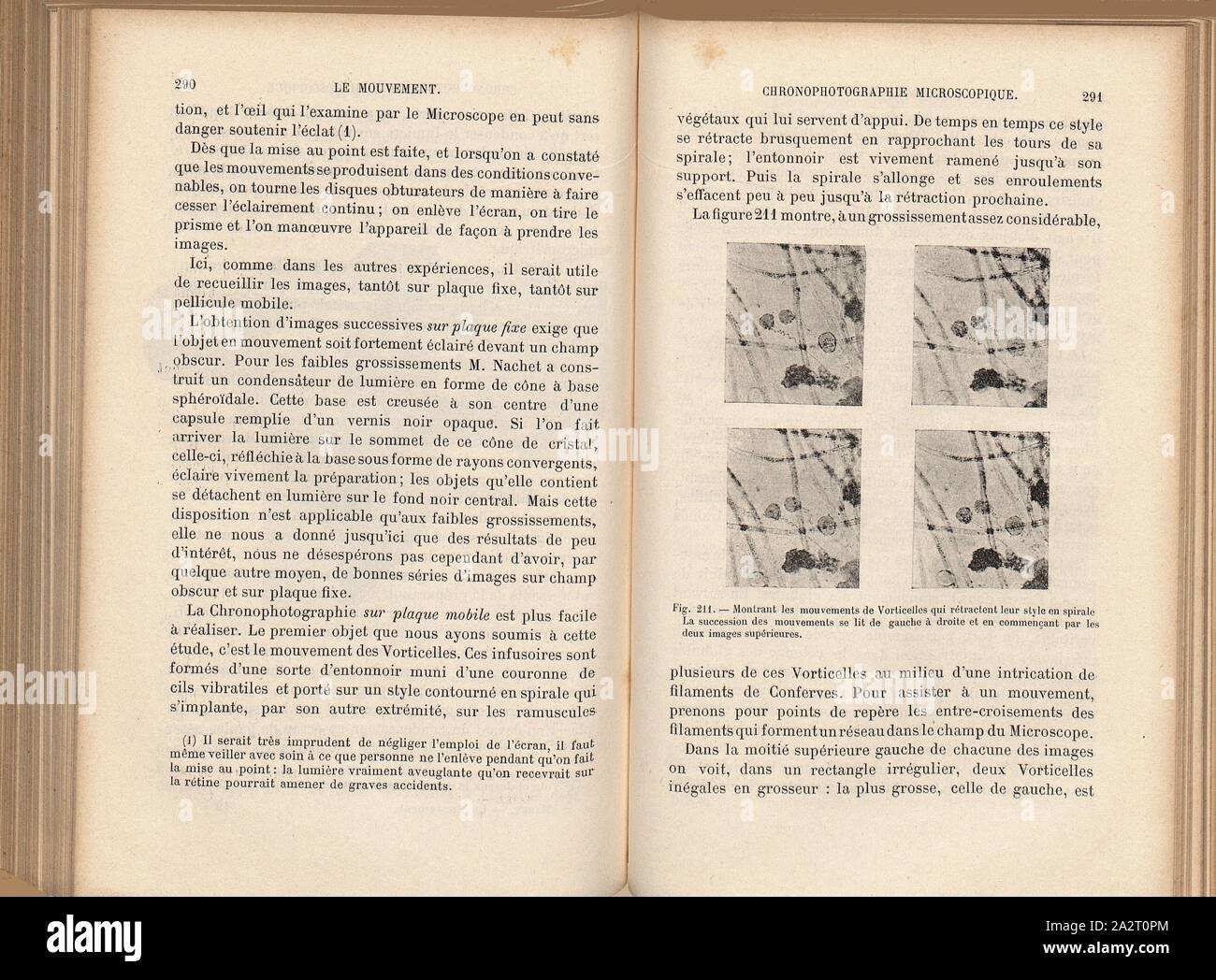 Zeigt die Bewegungen von vorticelli, dass ihre Spirale Stil einfahren. Die Abfolge von Bewegungen wird von links nach rechts gelesen und dabei mit der oberen beiden Bilder, Bewegung der Vorticella, Abb. 211, S.291, 1894, Etienne-Jules Marey: Le Mouvement. Paris: G. Masson, 1894 Stockfoto