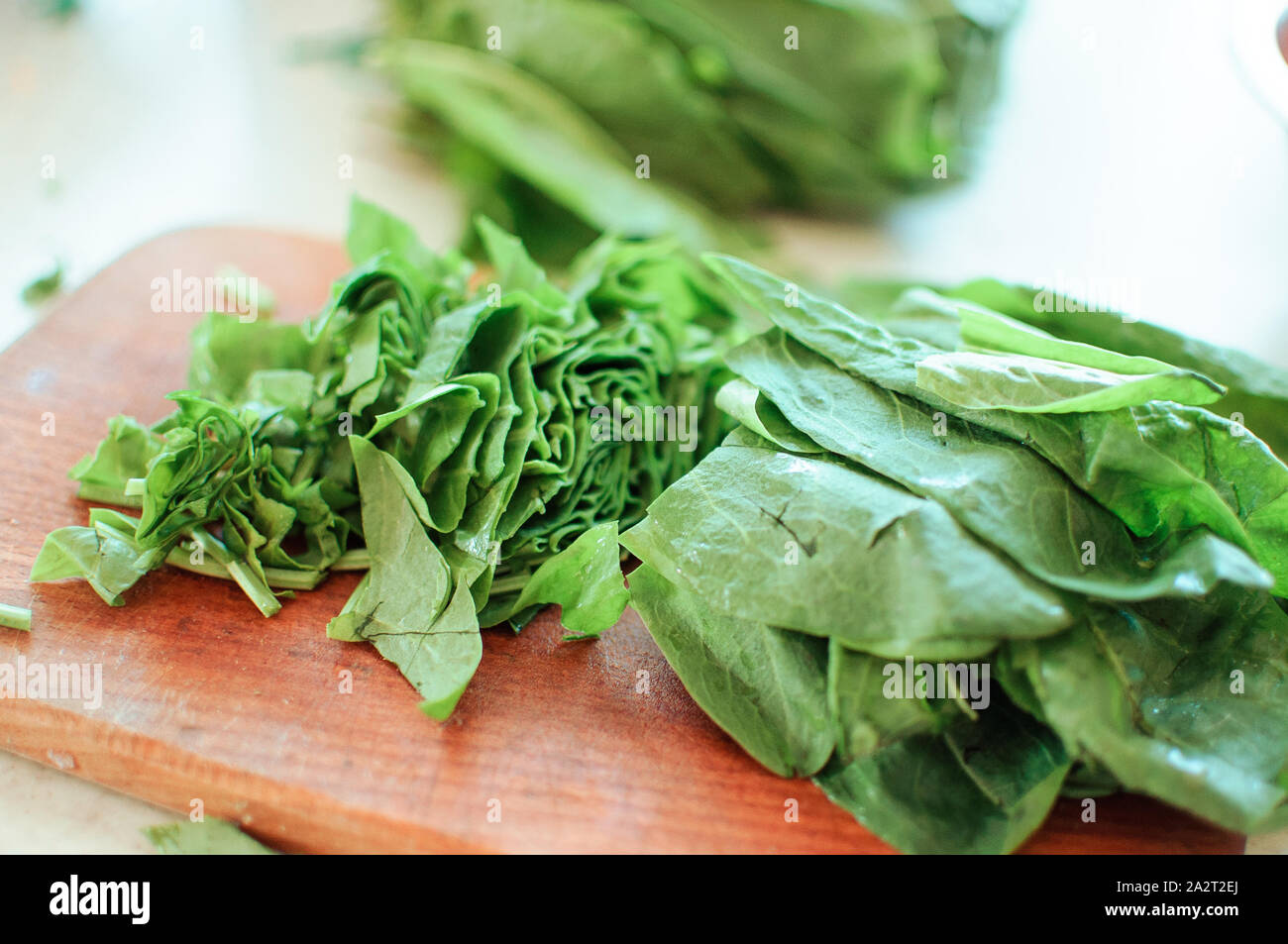 Junge grüne Sauerklee geschnitten für Borschtsch und Salat liegt auf einem Schneidebrett, rustikaler Stil, am Morgen in der Sonne. Kopieren Sie Platz. Stockfoto