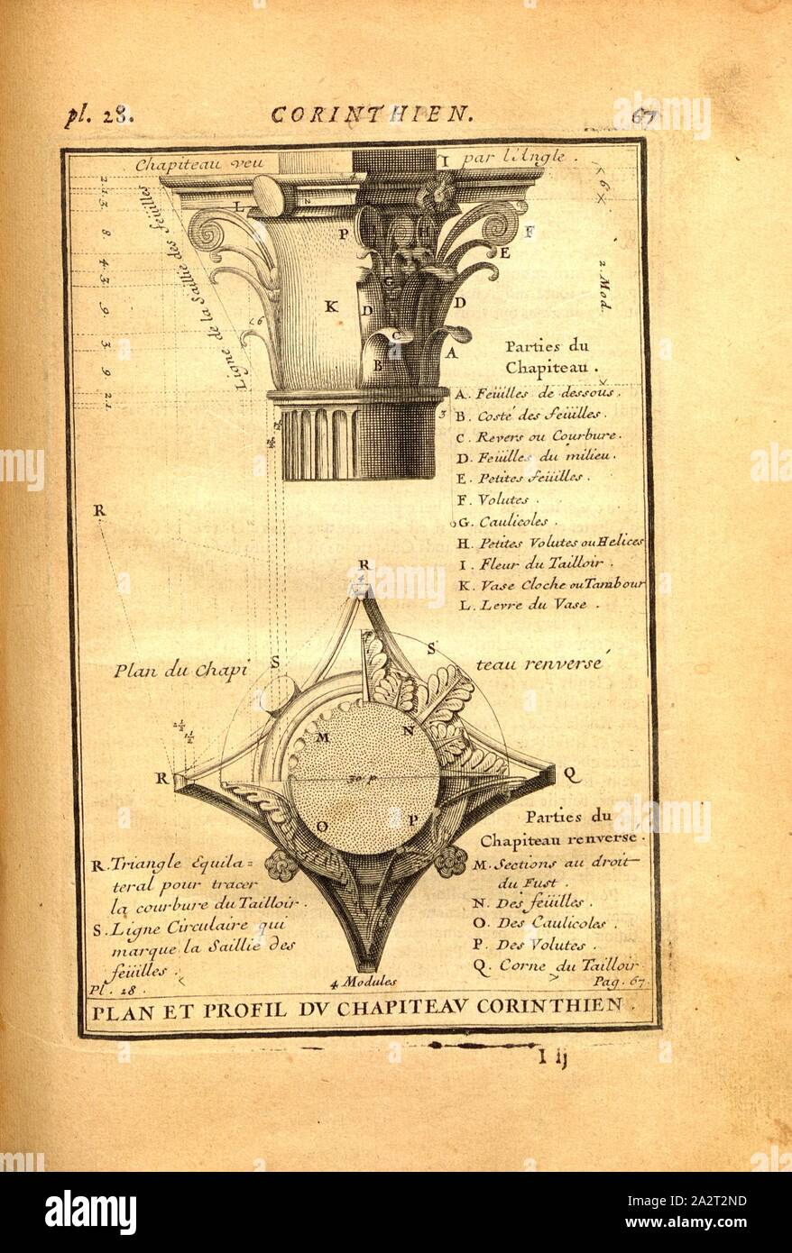 Karte und Profil der korinthischen Kapital, Kapital einer korinthischen Säule, PL. 28, S. 67, 1720, Augustin-Charles d'Aviler: Cours d'Architecture: qui Seife les ordres de Vignole, avec Les Commentaires, les Abbildungen & Beschreibungen de ses Plus beaux bâtimens, & de ceux de Saint-Cloud, Plusieurs nouveaux desseins, ornemens & préceptes, Contenant la Distribution, La décoration, la Matière & la Bau des édifices, La maçonnerie, La Charpenterie, la Couverture, La serrurerie, La Menuiserie Le Jardinage & tout ce qui regarde l'art de bâtir: avec une reichlich Explikation par ordre alphabetique Stockfoto