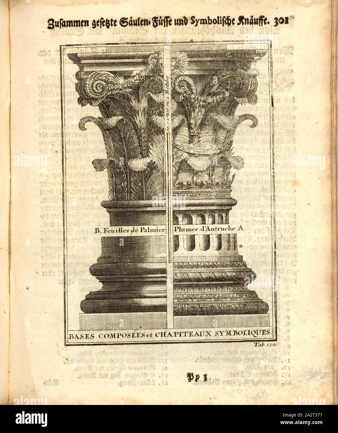 Composite Basen und symbolischer Kapitalien, Boden und Kapital, Tab. 120, S. 301, Augustin-Charles d'Aviler, Vignola, Michelangelo, Leonhard Christoph Sturm, Hertel: Ausführliche Anleitung zu der gantzen Civil-Bau-Kunst [...]. Augspurg: bey Johann Georg Hertel, 1747 Stockfoto