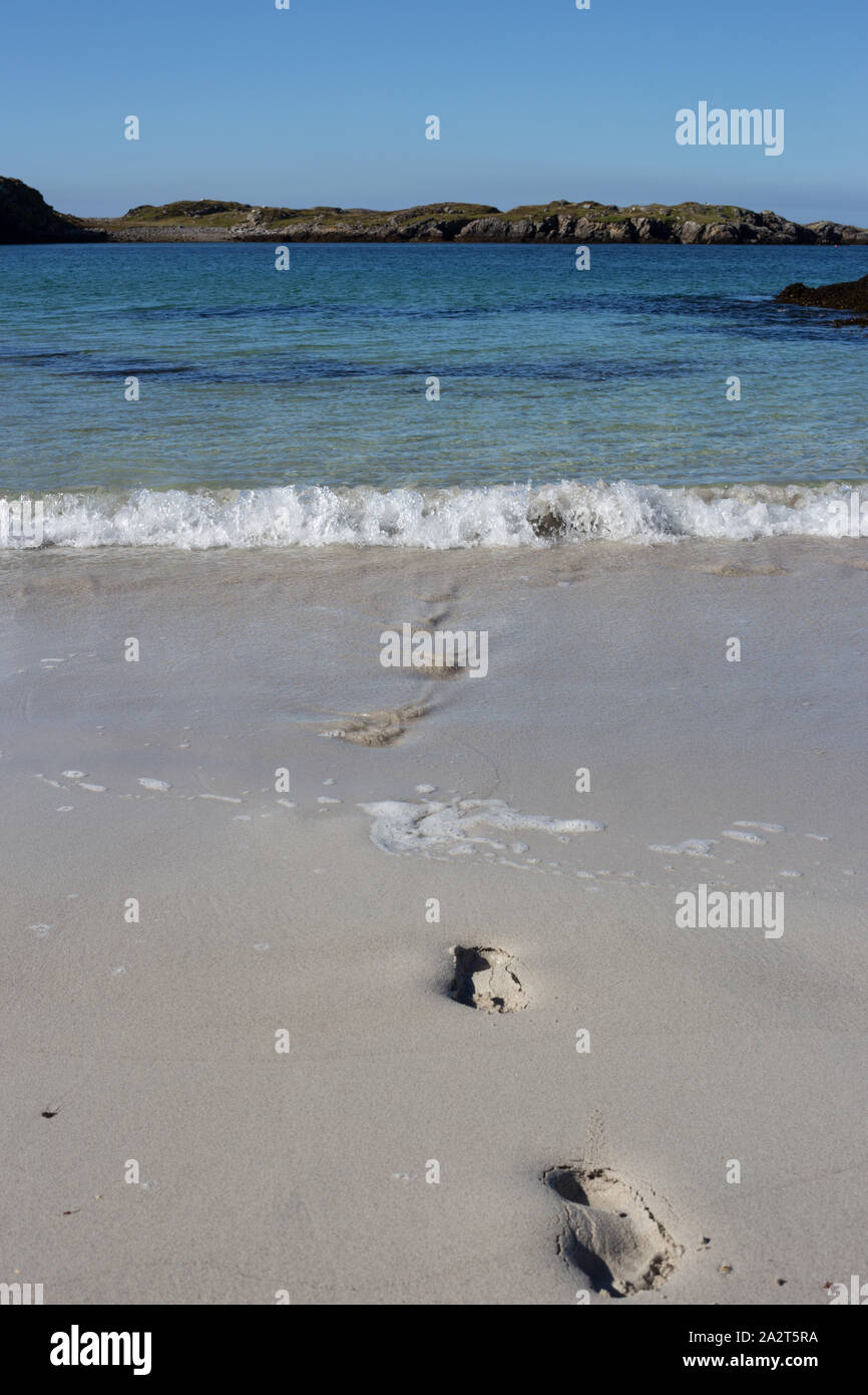 Spuren hinterlassen das Meer auf einen Sandstrand Stockfoto