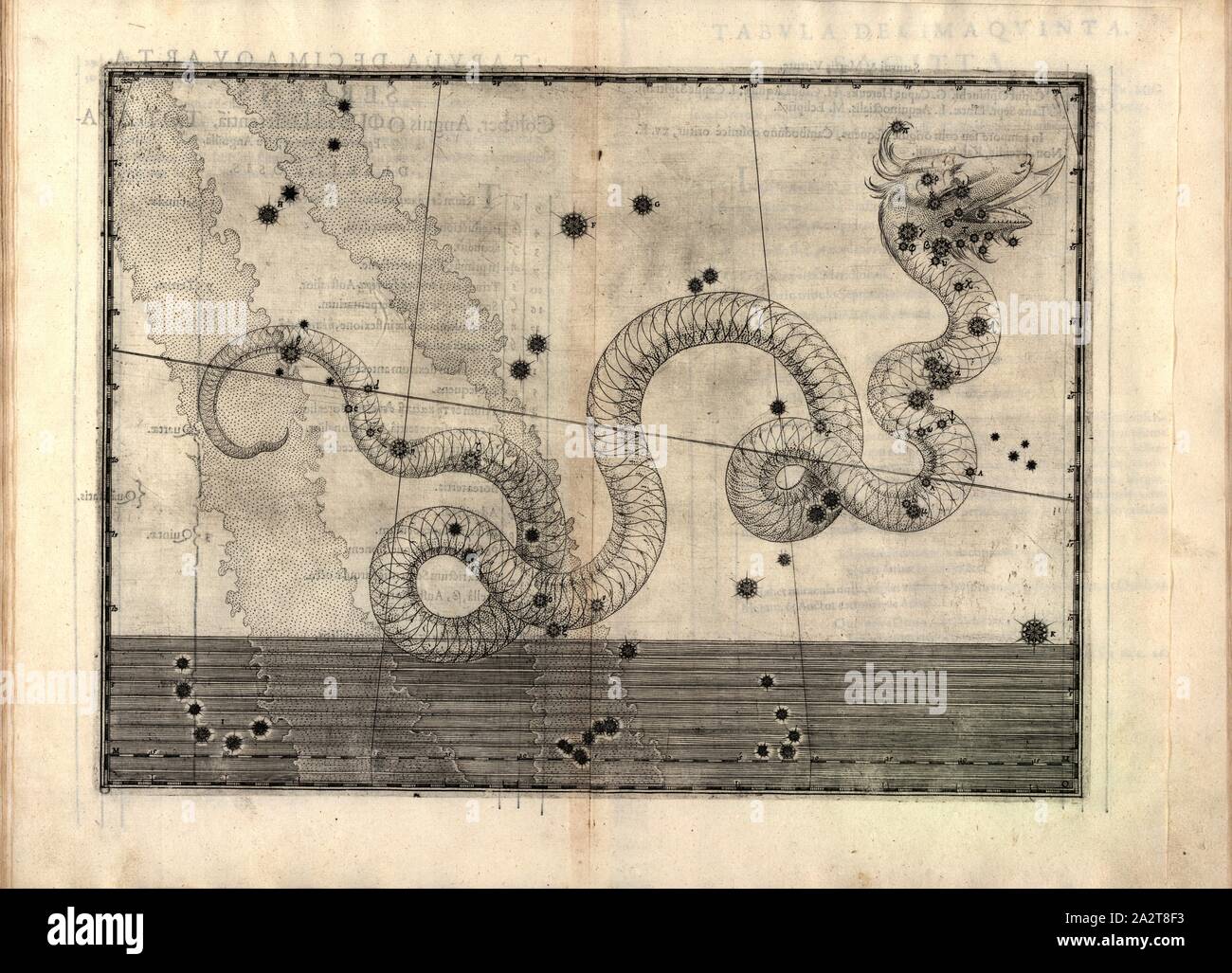 Schlange, Sternbild Schlange, S. 51, Mair, Alexander (Inc.), 1603, Ioannis Bayeri Uranometria omnium asterismorum (...). Augustae Vindelicorum: Excudit Christopherus Mangus, 1603 Stockfoto