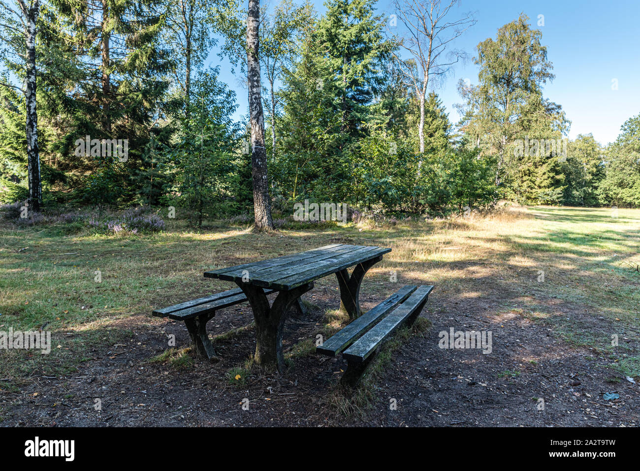 Grüne pic nick Tabelle in dem Wald, in den Wald oder Park im Schatten an einem Sommertag mit blauem Himmel Hintergrund ohne Menschen sichtbar Stockfoto