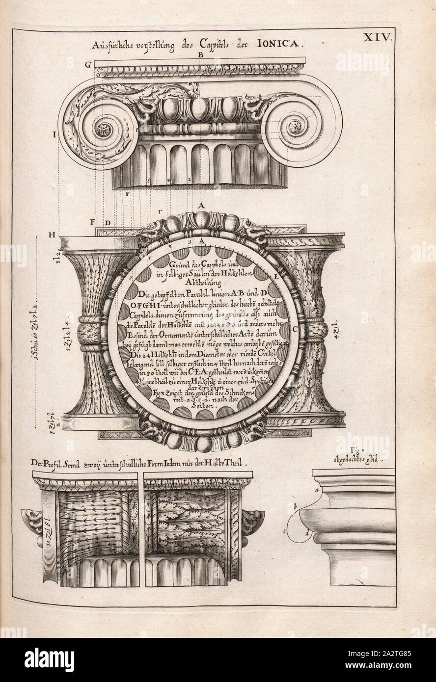 Detaillierte Darstellung des Kapitels der Ionica, Hauptstadt der Ionische Ordnung, Abb. 29, XIV, nach S. 30, Offizin Endter Nürnberg (Imp.), 1775, Joachim von Sandrart: Teutsche Academie der Bau-Bildhauer- und Maler-Kunst: Worinn sterben Regeln und Lehrsätze of this Künste gegeben, nicht weniger zu sterben mehrerer Erläuterung und Beispiele Beispiele der alten und neuen Künstler in Kupfer beygefüget worden, wie solche in Rom auf das genaueste abgezeichnet sind: nebst den Lebensbeschreibungen und Beispiele der griechischen, römischen und neuen Künstler, ingleichen der Anzeige ihrer vornehmsten Werke. Nürnberg: verlegt in Stockfoto