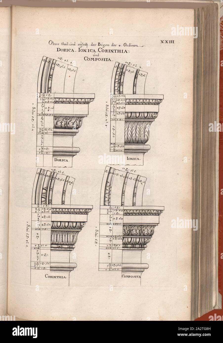 Oberen Teil und Teile der Bögen der 4. Ordnung Dorica, Ionica, Corinthia und Composita, Hauptstadt der Dorischen, ionischen und korinthischen und Compositae, Abb. 38, XXIII, nach S. 30, Offizin Endter Nürnberg (Imp.), 1775, Joachim von Sandrart: Teutsche Academie der Bau-Bildhauer- und Maler-Kunst: Worinn sterben Regeln und Lehrsätze of this Künste gegeben, nicht weniger zu sterben mehrerer Erläuterung und Beispiele Beispiele der alten und neuen Künstler in Kupfer beygefüget worden, wie solche in Rom auf das genaueste abgezeichnet sind: nebst den Lebensbeschreibungen und Beispiele der griechischen, römischen und neuen Stockfoto