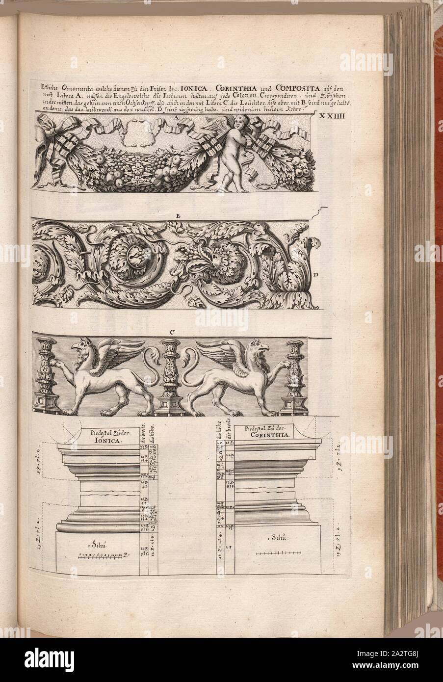 Mehrere ornamenta, die für die Frisuren von Ionica, Corinthia und Composita dienen..., kunstvolle Friese der Ionischen, Korinthischen und Composite, Abb. 39, XXIIII, nach S. 30, Offizin Endter Nürnberg (Imp.), 1775, Joachim von Sandrart: Teutsche Academie der Bau-Bildhauer- und Maler-Kunst: Worinn sterben Regeln und Lehrsätze of this Künste gegeben, nicht weniger zu sterben mehrerer Erläuterung und Beispiele Beispiele der alten und neuen Künstler in Kupfer beygefüget worden, wie solche in Rom auf das genaueste abgezeichnet sind: nebst den Lebensbeschreibungen und Beispiele der griechischen, römischen und neuen Germany Stockfoto