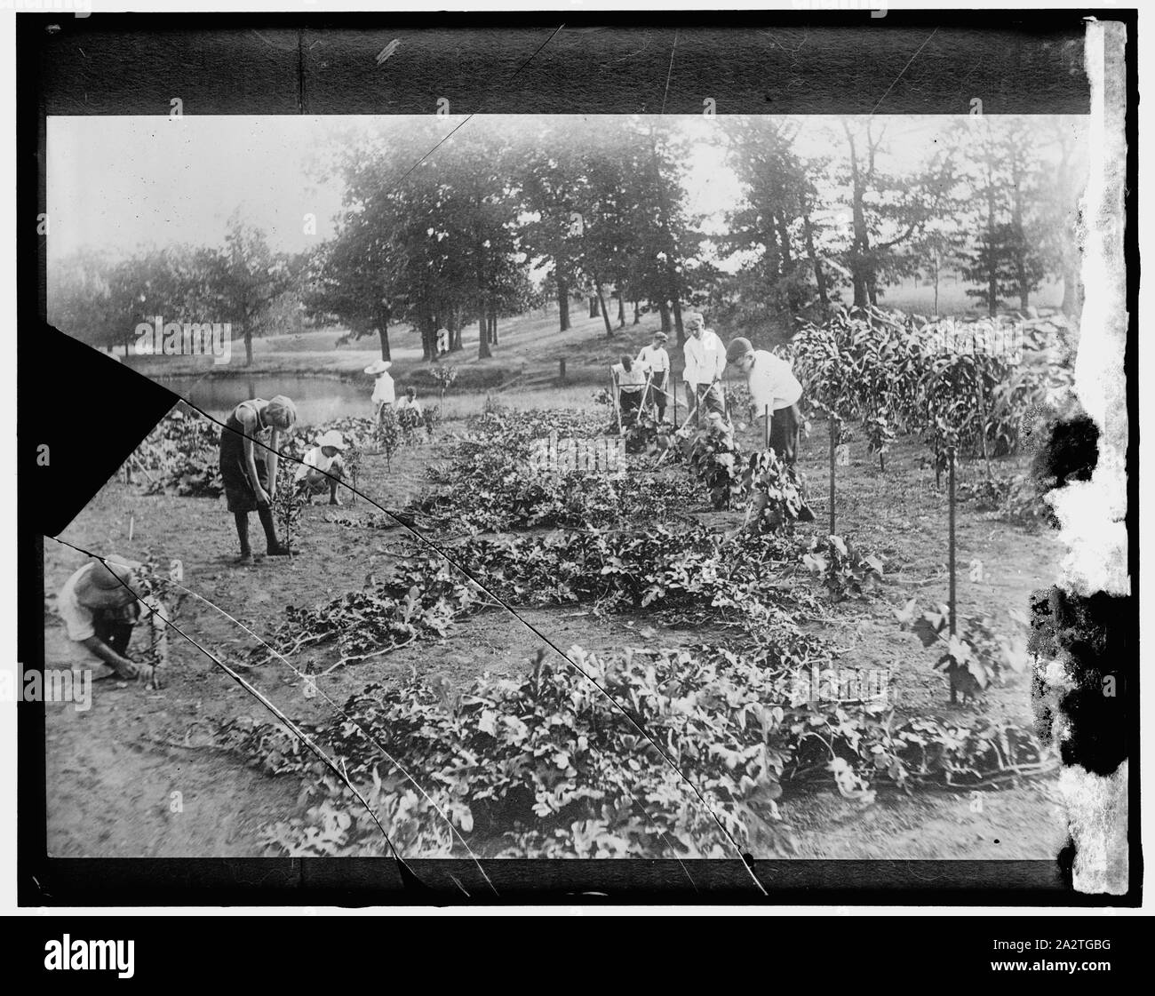 Rotes Kreuz Stockfoto
