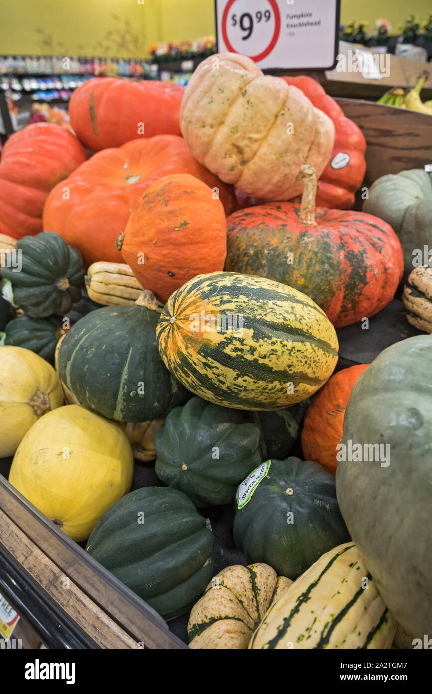 Herbst Kürbisse Kürbisse und zum Verkauf in einem Supermarkt. Stockfoto