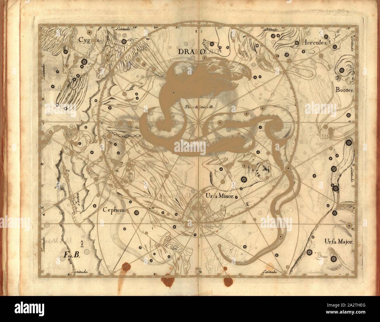 Draco, Karte von dem Sternbild Drache, Abb. 6, Abb. B, S. 21, Johannes Hevelius, Johann Ernst-von-Schmieden: Johannis Hevelii prodromus fundamenta astronomiae, exhibens, quae Tam ad Novum planè & correctiorem stellarum fixarum construendeum, ad catalogum quàm onmium planetarum tabulas corrigendas omnimodè spectant; nec nicht Novas & correctiores tabulas Solares, aliasque plurimas astronomiam pertinentes ad [...]. Gedani: Typis Johannis-Zachariae Stollii, 1690 Stockfoto