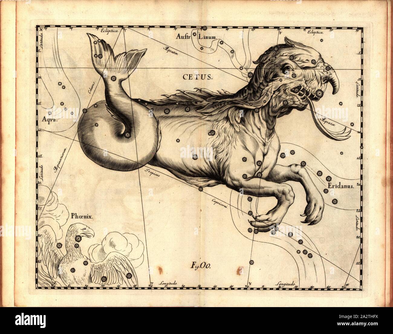 Cetus, Karte des Sternbildes Wal, Abb. 42, Abb. OO, auf S. 21, Johannes Hevelius, Johann Ernst-von-Schmieden: Johannis Hevelii prodromus fundamenta astronomiae, exhibens, quae Tam ad Novum planè & correctiorem stellarum fixarum construendeum, ad catalogum quàm onmium planetarum tabulas corrigendas omnimodè spectant; nec nicht Novas & correctiores tabulas Solares, aliasque plurimas astronomiam pertinentes ad [...]. Gedani: Typis Johannis-Zachariae Stollii, 1690 Stockfoto