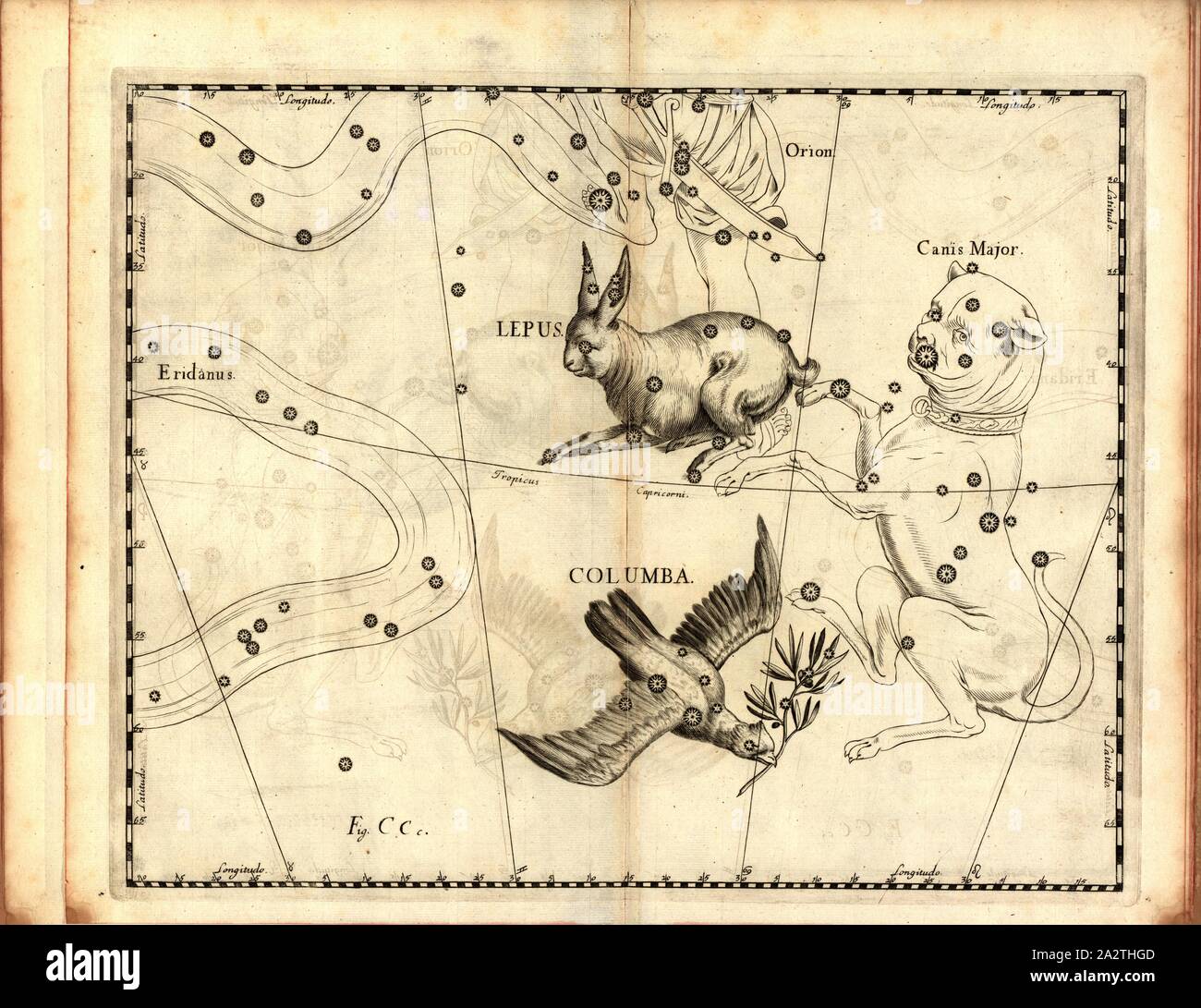 Das Kaninchen und eine Taube, Karte von dem Sternbild Hase und Taube, Abb. 55, Abb. CCc, auf S. 21, Johannes Hevelius, Johann Ernst-von-Schmieden: Johannis Hevelii prodromus fundamenta astronomiae, exhibens, quae Tam ad Novum planè & correctiorem stellarum fixarum construendeum, ad catalogum quàm onmium planetarum tabulas corrigendas omnimodè spectant; nec nicht Novas & correctiores tabulas Solares, aliasque plurimas astronomiam pertinentes ad [...]. Gedani: Typis Johannis-Zachariae Stollii, 1690 Stockfoto