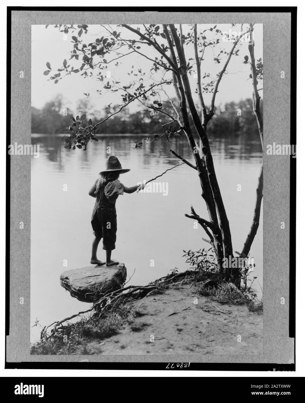 Referenz Drucke, 1919-1920, 2133-2377. Stockfoto