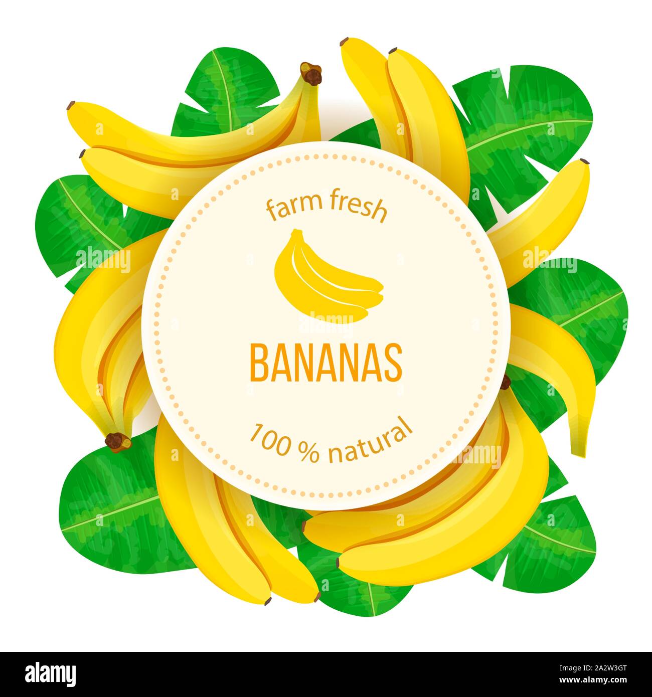 Bündel von reifen Bananen mit Blättern auf weißem Hintergrund. runde Plakette. Von der Seite. Kopieren Sie Platz. Stock Vektor