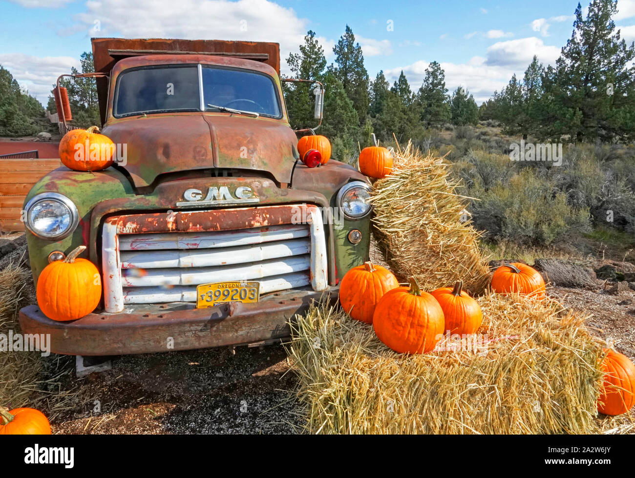 Eine alte, rostige Lkw ist mit Kürbissen und Heuballen kurz vor Halloween dekoriert. Stockfoto