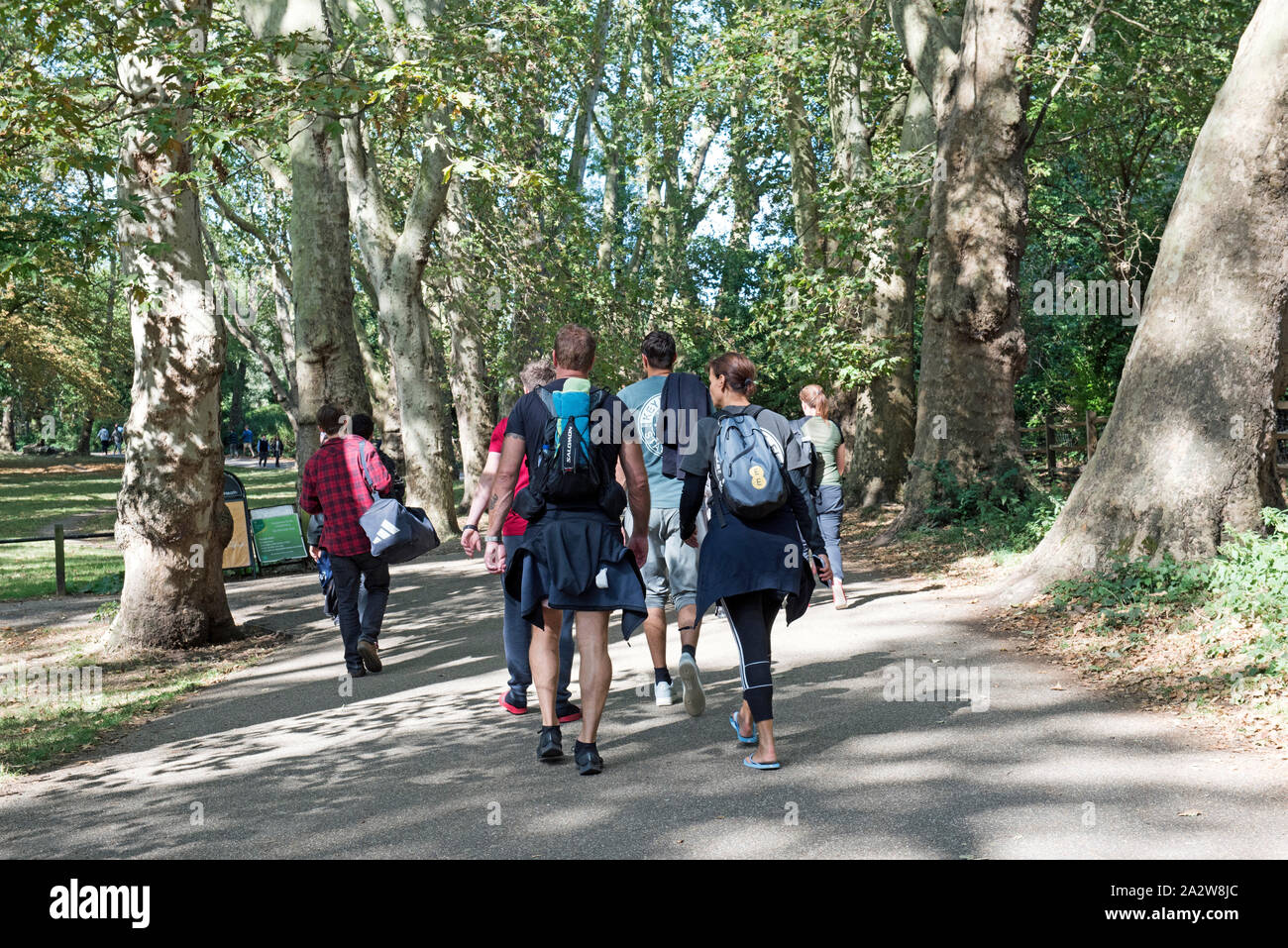 Menschen zu Fuß entlang der städtischen Weg mit Bäumen, Hampstead, London Borough von Camden, England Großbritannien UK Stockfoto