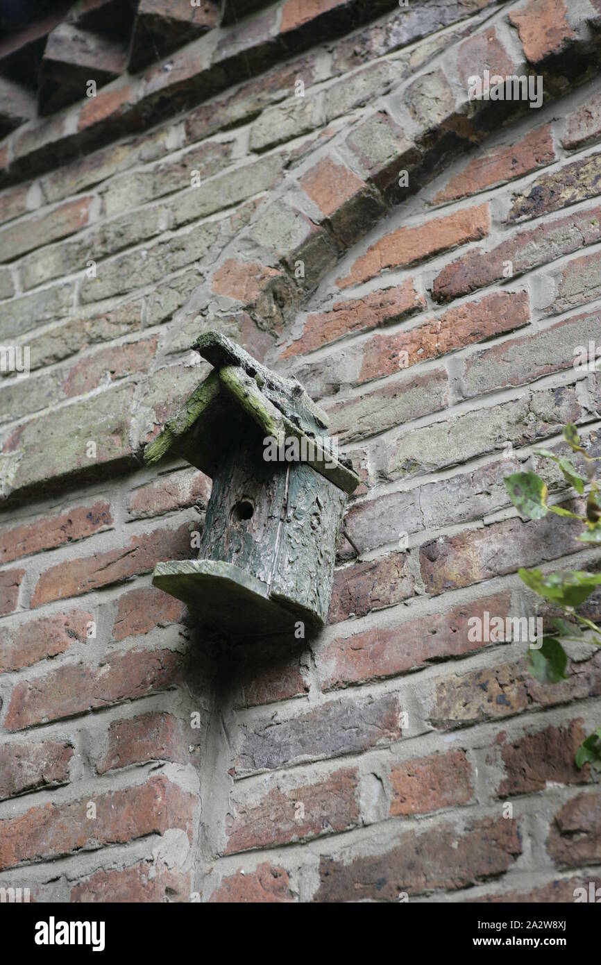 Vogel Nistkasten zu Alten roten Backstein Nebengebäude Wand Stockfoto