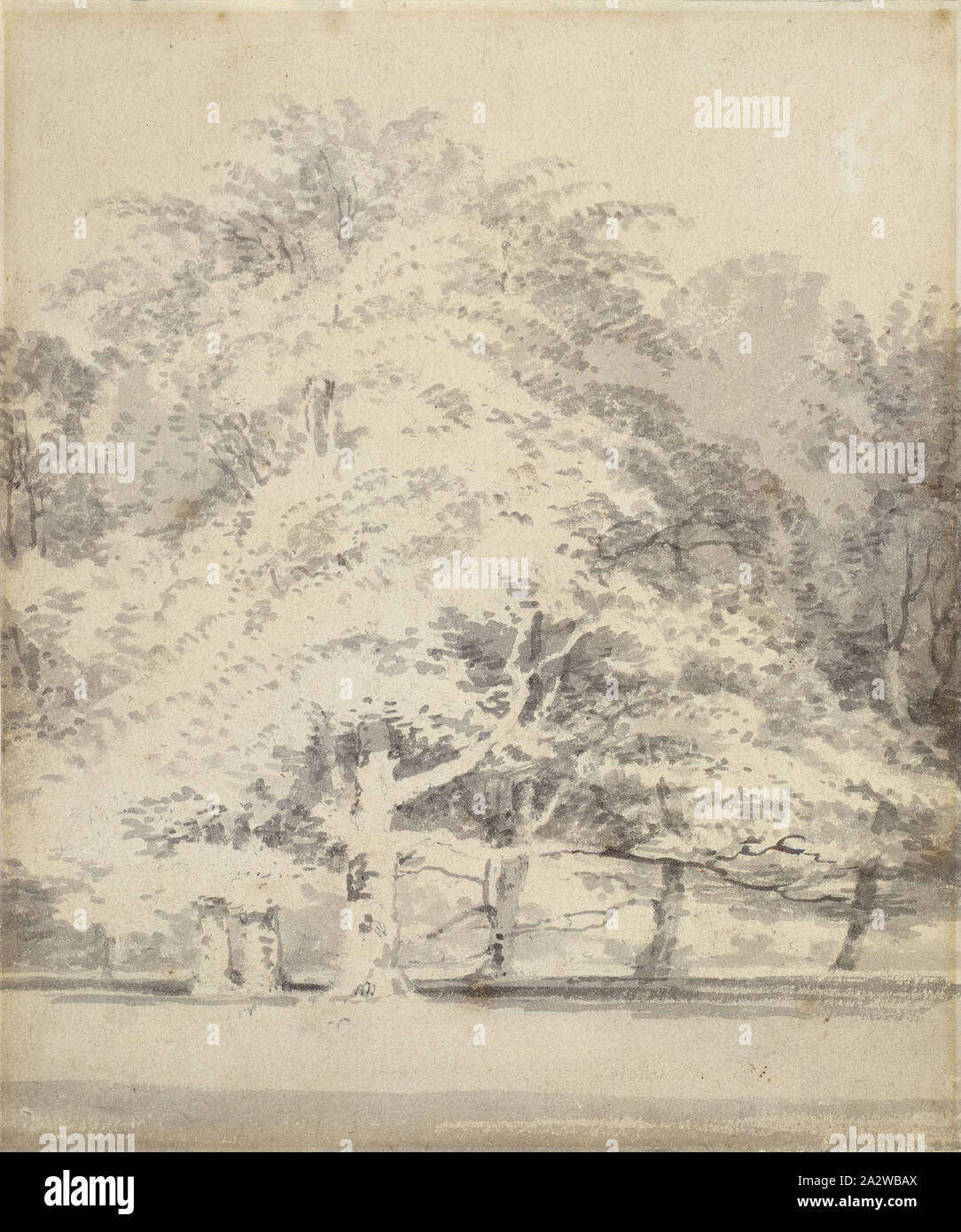 Buche, Joseph Mallord William Turner (Englisch, 1775-1851), 1795-1797, graue Tinte wäscht über Bleistift auf weißem Papier, 7-1/2 x 6 in., in Bleistift, verso eingeschrieben, L.R.: J. M. W. Turner, R.A., in Bleistift, verso eingeschrieben, L.L.: Nr. 2 Stockfoto