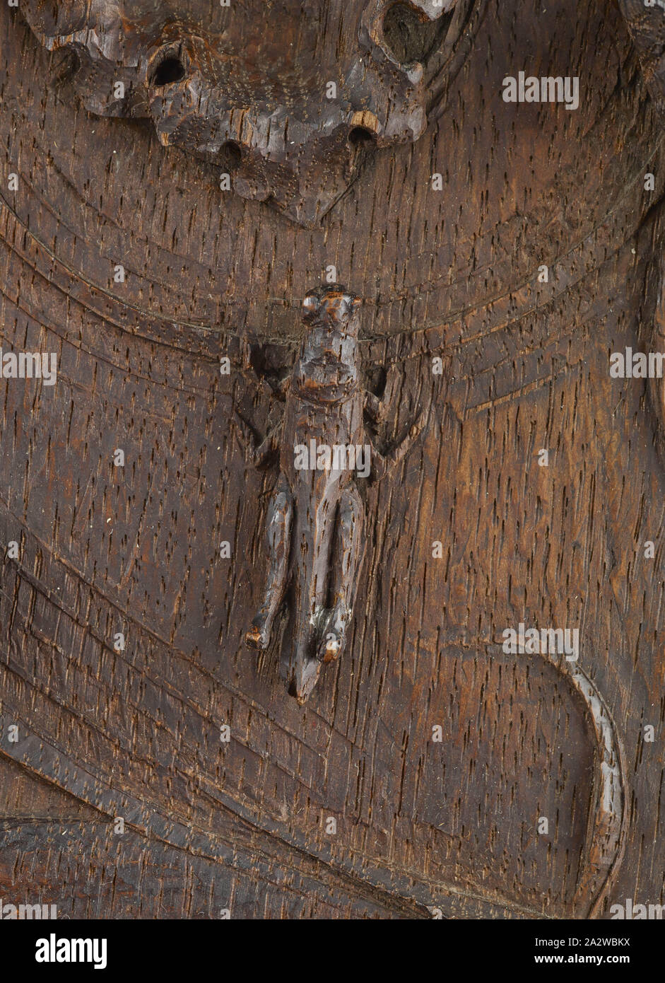 Salamander und Bird, Edward Henry Buchorn (American, 1871-1945), um 1903, Eiche, 19-1/8 x 7-3/4 x 2 in., die dekorativen Künste Stockfoto