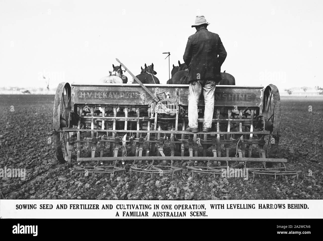 Fotografie - H.V. McKay Massey Harris, landwirtschaftliche Ausrüstung Herstellung & Feldversuchen, Melton, Victoria, Mai 1933, '16 -'s Row untyne" bei der Arbeit an Herrn H. Hurley's Eigentum, Melton, Vic: Mai 1933 [Photo caption liest] durch Saatgut und Dünger und Pflege in einem Arbeitsgang, mit Niveauregulierung Eggen hinter sich. Eine bekannte Australische Szene'' von Pferden gezogenen 16-row' s Stockfoto