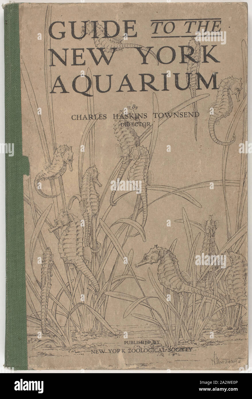 Buch - Charles Haskins Townsend, "Leitfaden zu den New York Aquarium', New York Zoological Society, 1919, "Leitfaden zu den New York Aquarium" von Charles Haskins Townsend geschrieben und durch die New Yorker Zoologische Gesellschaft, 1919 veröffentlicht. Das Buch wurde durch das Ausstellungsgebäude Treuhänder als Referenz für das Aquarium auf der Messe Gebäude verwendet wird. Das Aquarium, Galerie und Museum eröffnet die Ausstellung Gebäude im Februar 1885. Auf Anzeige waren aquatische Kreaturen, Natural History Exemplare Stockfoto