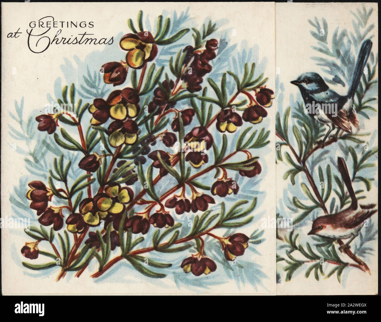 Weihnachtskarte - Von E. Lamont, Grüße zu Weihnachten, ca. 1950er Jahre, Weihnachtskarte von Fifth Avenue, ca. 1950er-Jahre. Es verfügt über eine Filiale mit Blumen und zwei Vögel. Es in einer Reihe von Karten, die von Frau Peg Harris, die in Tollerton, Templeton Straße, Avoca lebte gesammelt. Die Karte ist von E.Lamont und nicht an jedermann gerichtet. Margaret "Peg" Preston Harris (geborene Brereton) wuchs im 'Tollerton' mit ihrer Mutter Sara Brereton (geborene Preston) und Vater William Stockfoto