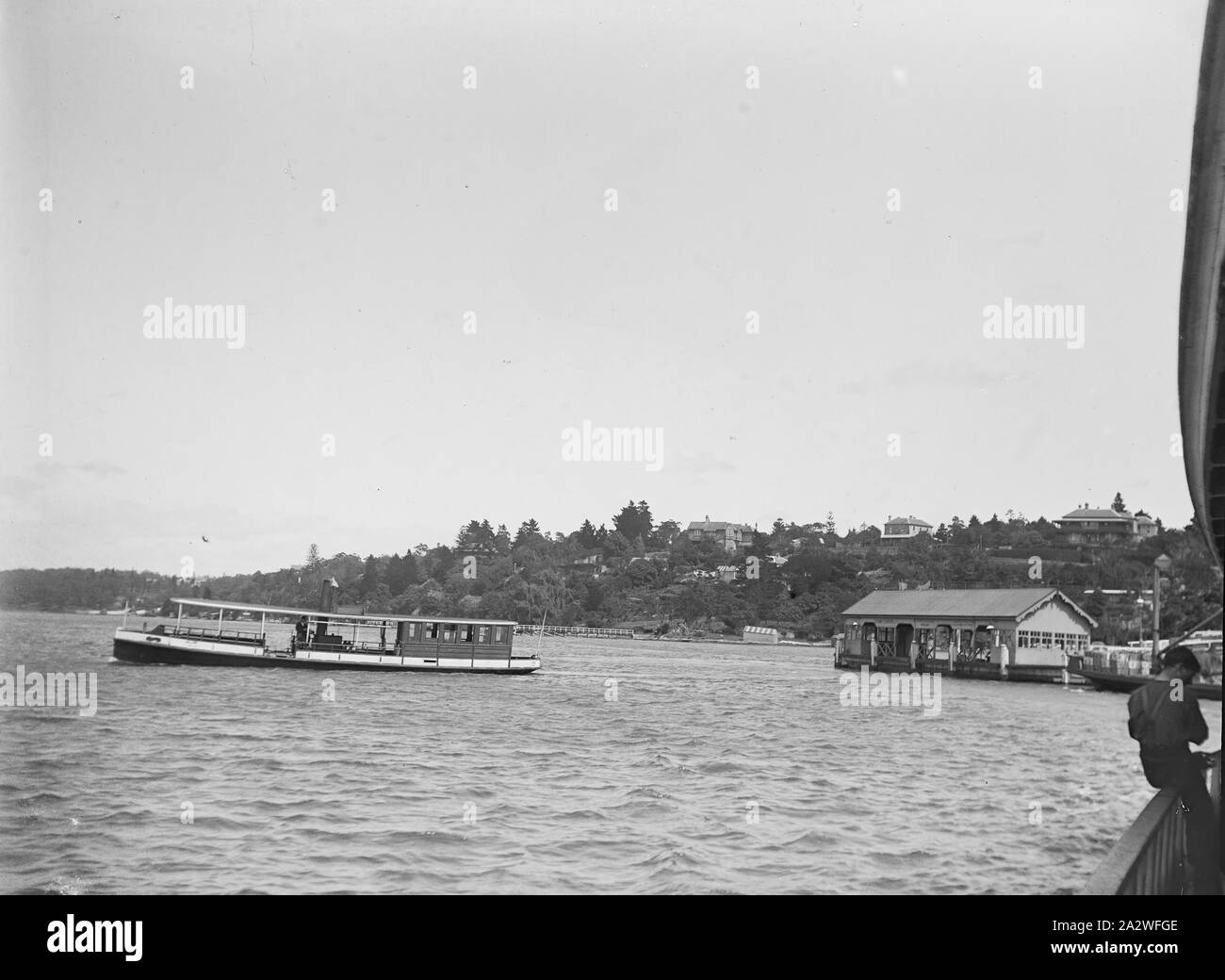 Glas Negativ - Fähre in den Hafen von Sydney, ca. 1900 s, Schwarz und Weiß 1/4 Platte Glas negative mit einem Passagier Fähre Abfahrt einer Fähre im Hafen von Sydney, ca. 1900. Dies ist eines von zwölf Minuspunkte, die ursprünglich in einer Kaiserlichen spezielle Schnelle Platten Box mit Szenen in Sydney und ein Picknick an einem unbekannten Ort aufbewahrt, vermutlich in New South Wales und Victoria. Die Herkunft dieser Bilder ist unklar, aber sie waren untergebracht Stockfoto