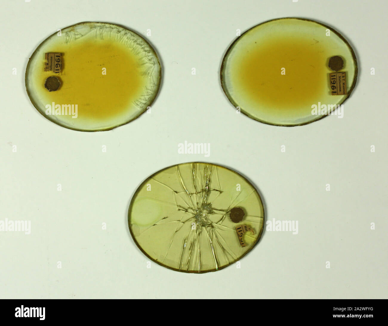 Goggle Gläser - Triplex Safety Glass Co, für die Fliegerbrille, Großbritannien, ca. 1915-1918, goggle Brille Aviator's aus Triplex Sicherheitsglas. (Drei Teile - zwei perfekt und eine zerbrochen). Triplex Glas bestand aus zwei äußeren Bögen Platte Glas mit einem Blatt Xylonite (celluloid) waren wir recht zwischen ihnen und zusammen mit Eine spezielle transparente Zement. Von 1912-1930 s für die Windschutzscheiben von Autos und Flugzeugen, und Brillengläsern für Flying verwendet Stockfoto