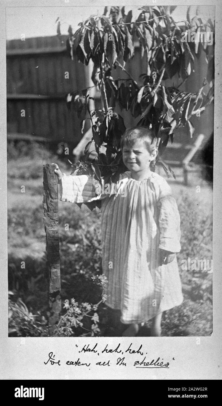 Foto-Boy & Obst Baum, von A.J. Campbell, Victoria, ca. 1890, ein kleiner Junge trägt einen Kittel, die am Hals versammelt ist. Er steht in einem Garten, mit der Hand auf eine Stelle. Das Wort shellies ist unterstrichen und kann eine Familie Nutzung angeben Stockfoto