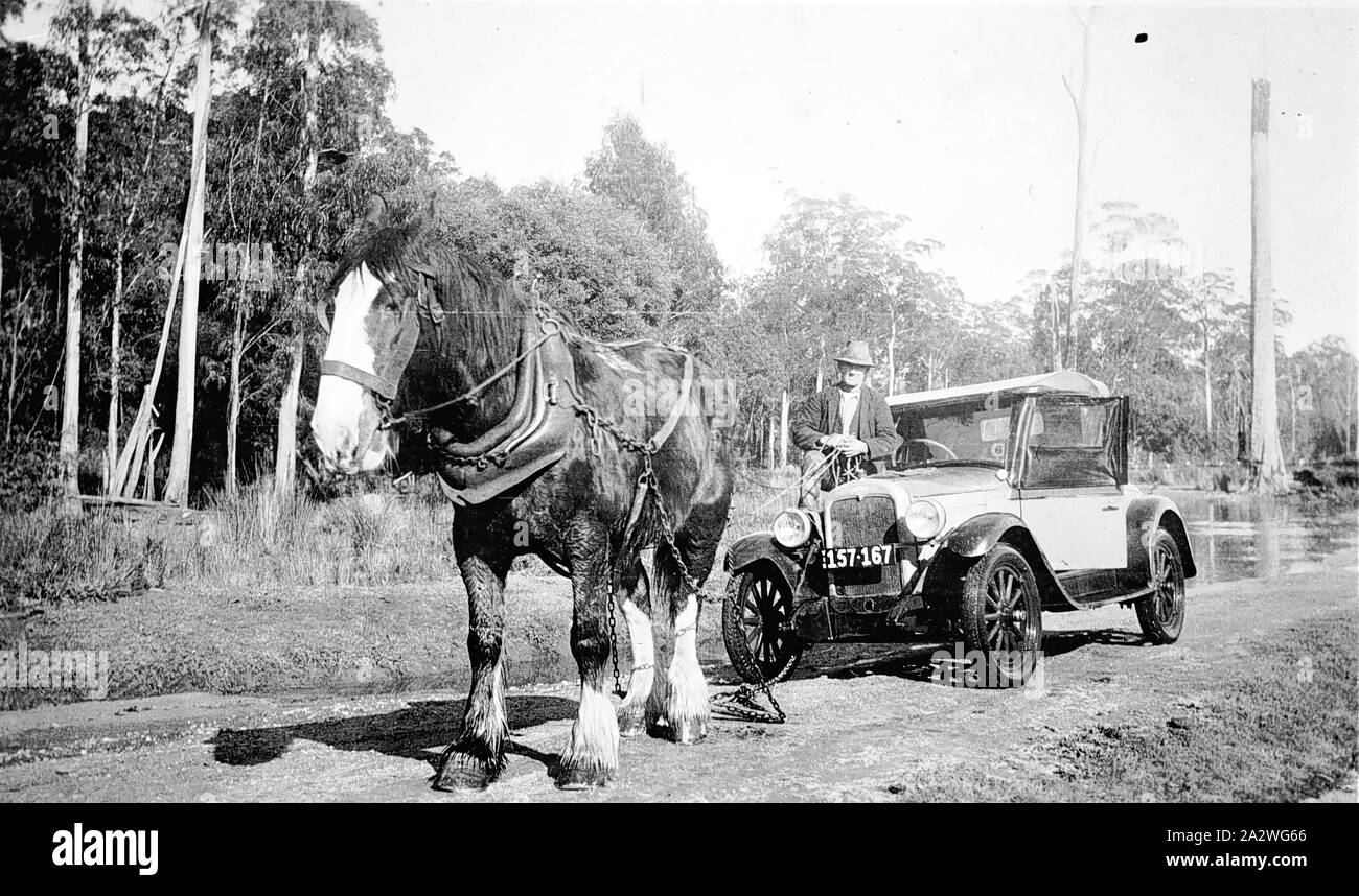 Negative - Cann River, Victoria, 1934, ein Pferd und Wagen nach dem Pferd hat das Auto aus dem Sumpf gezogen Stockfoto