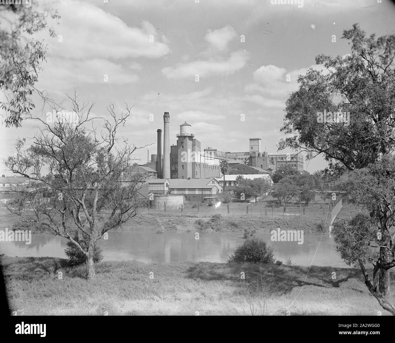 Glas Negativ, Abbotsford Werk aus über den Fluss Yarra, circa 1930s, Schwarz und Weiß, Glasplatte negativ der Kodak Australasia Pty Ltd Fabrik in Abbotsford circa 1930s, Schrägansicht aus über dem Fluss Yarra, einschließlich der Ufer und Bäume im Vordergrund. Sammlung von Produkten, Werbematerialien, Fotos und Arbeitsleben Artefakte, wenn die Melbourne Produktionsstätte Stockfoto