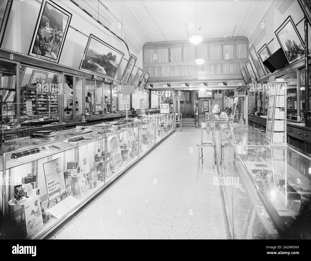 Glas Negativ, Shop Interior, circa 1930s, Schwarz und Weiß volle Platte Glas negative des Inneren eines Kodak Australasia Pty Ltd Shop, mit zwei Glasfronten Zähler mit Produkten und Beschilderung der Länge der Shop gefüllt, um die hintere Tür bis drei Schritte, 'Kein Zutritt' gekennzeichnet. Es gibt einen Gemusterten, Fliesen oder Laminat-, Boden- und mehrere Stühle aus Holz mit 'K' für Kodak geschnitzt in den Rücken. Fotografien werden zusammen hing Stockfoto