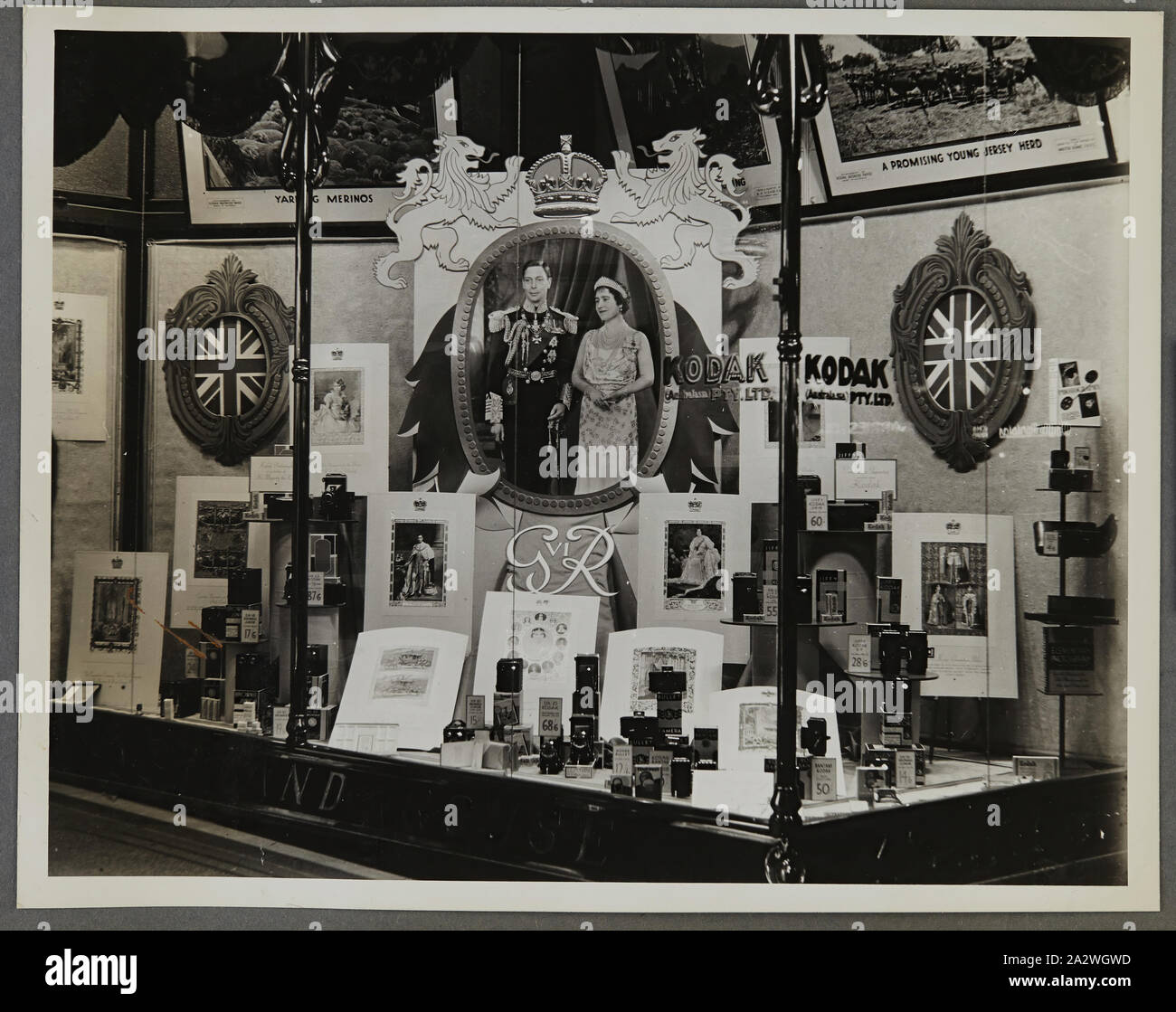 Fotografie - Kodak, Shopfront angezeigt, König George VI., ca. 1934-1936, SHOPFRONT-Anzeige zeigt Fotografien von König Georg VI. und Königin Elizabeth. Eine der 56-Fotos in einem Album zeigt Kodak Australasia Pty Ltd shop vorderen Fenster werden aus der Mitte der 1930er Jahre. Windows allgemein Featured Product Promotions für Film oder Kameras, sowie fotografischen Ausstellungen Massen in den Laden zu locken. Ausstellungen empfohlene Mt Everest, der britischen königlichen Familie Stockfoto