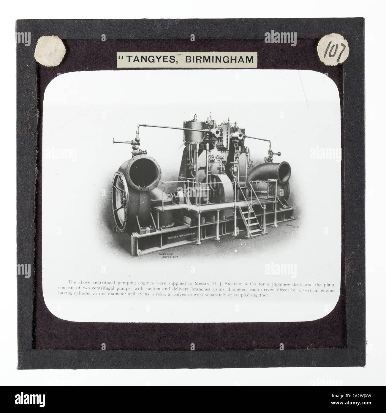Lantern Slide-Tangyes Ltd, Dampfbetriebene Pumpen Kreiselpumpen Dock, um 1910, eine der 239 Glas Laterne Folien, Produkte von Tangyes begrenzt Ingenieure von Birmingham, England hergestellt. Die Bilder gehören verschiedene Produkte wie Motoren, Kreiselpumpen, Hydraulikpumpen, Gasproduzenten, Materialprüfung, Pressen, Werkzeugmaschinen, Hydraulikzylinder etc. Tangyes war ein Unternehmen, das von 1857 bis 1957 betrieben. Sie produziert eine Vielzahl von Engineering Stockfoto