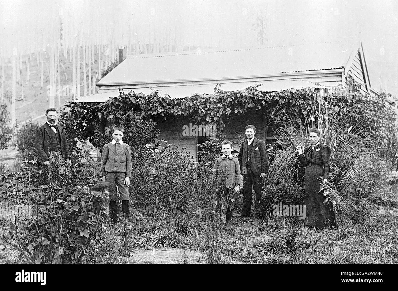 Negative - Walter Benn & Familie zu Hause, Mirboo South, Victoria, 1904, Mitglieder der Familie von Walter Benn vor ihrem Haus. Es ist ein Mann, eine Frau und drei Kinder. Sie tragen Kleidung, die typisch für die edwardianische Zeit: Die Frau trägt ein schwarzes Kleid, der Mann einen Anzug und drei Jungen tragen Jacken und Hosen mit langen Stiefeln. Sie stehen in ihrem Garten mit einheimischen Pflanzen bewachsen ist. Es gibt einen Weinbau Stockfoto