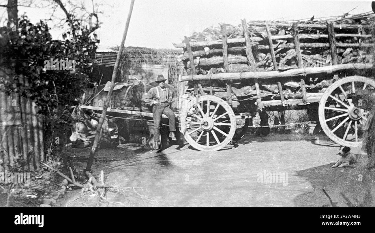 Negative-Wagen beladen mit Holz, Spring Hill, Creswick, Victoria, 1922, einen großen Wagen mit Holz geladen Stockfoto