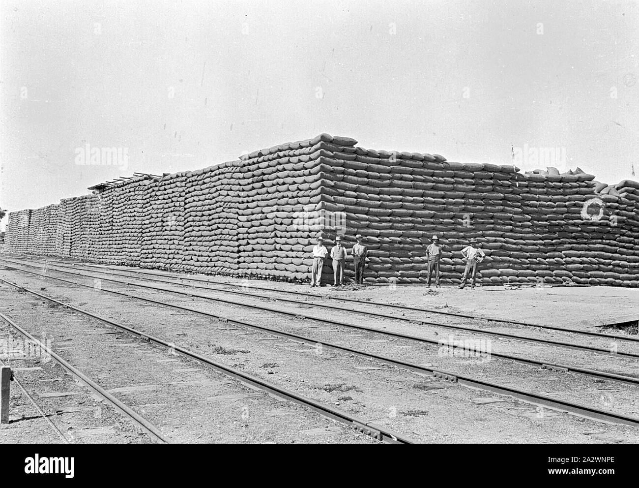Negative - Warracknabeal, Victoria, 1931, Korn Stack von 70.000 Koffer im warracknabeal Bahn Yards, 1931 war dies die größte je in Warracknabeal integriert Stockfoto