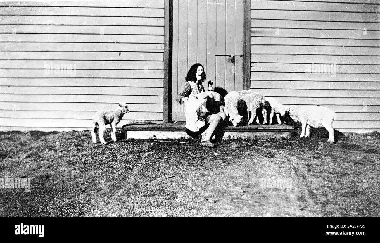 Negative - Frau Fütterung Lamm, Newlyn North, Victoria, 1929, Marie Collins lachen, als sie die Fütterung der Lämmer ist. Sie ist auf der Stufe eines Schuppen sitzt Stockfoto