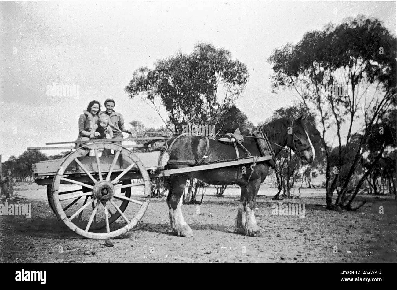 Negative - Manangatang, Victoria, ca. 1935, ein Mann, Frau und Kind in einem Pferdewagen Stockfoto