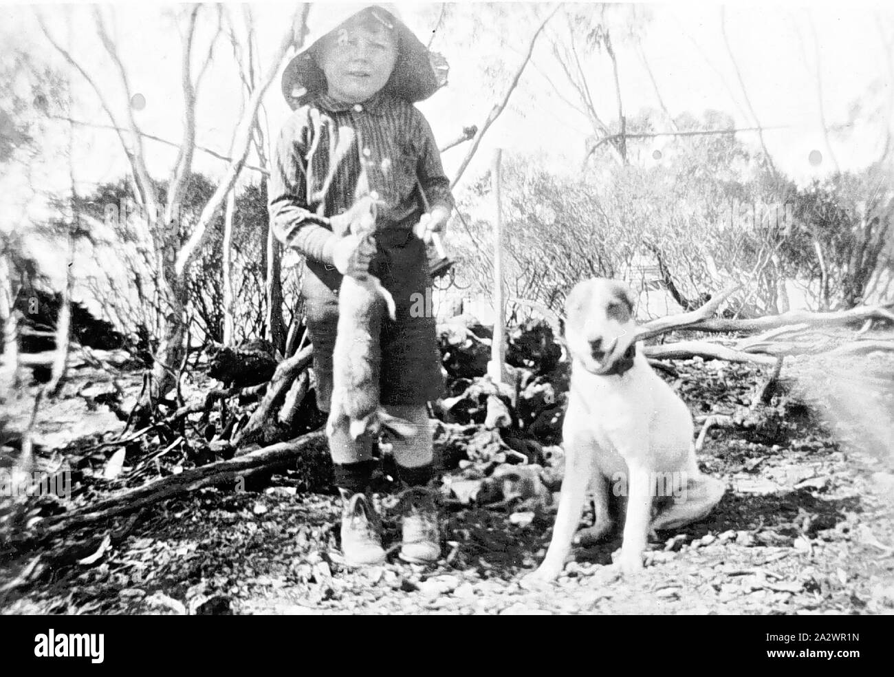 Negative - Kooloonong, Victoria, 1925, ein kleiner Junge im Busch Holding einen toten Hasen. Ein Hund sitzt neben der Junge Stockfoto